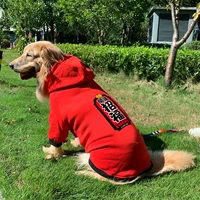 Золотой ретривер Big Dog Clothing Новый год осени и зимний латино -зимний Новый год.