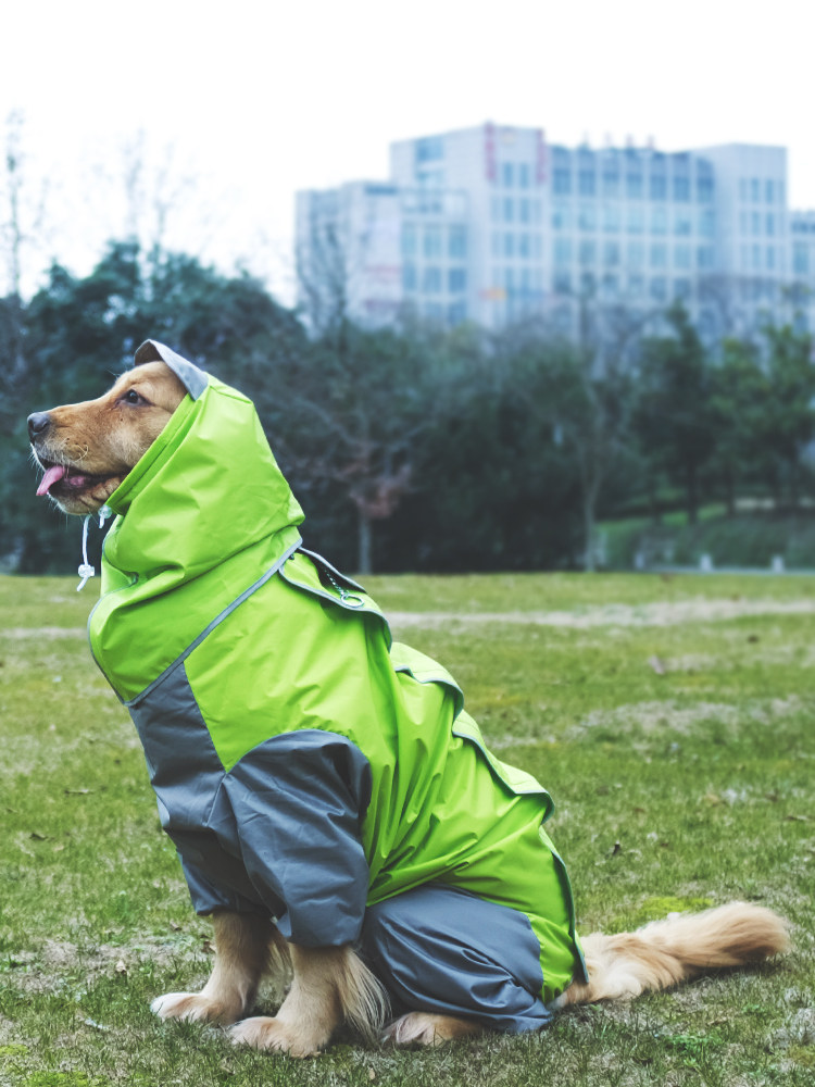 大狗狗雨衣四脚防水金毛萨摩耶拉布拉多中大型犬全包宠物泰迪雨披