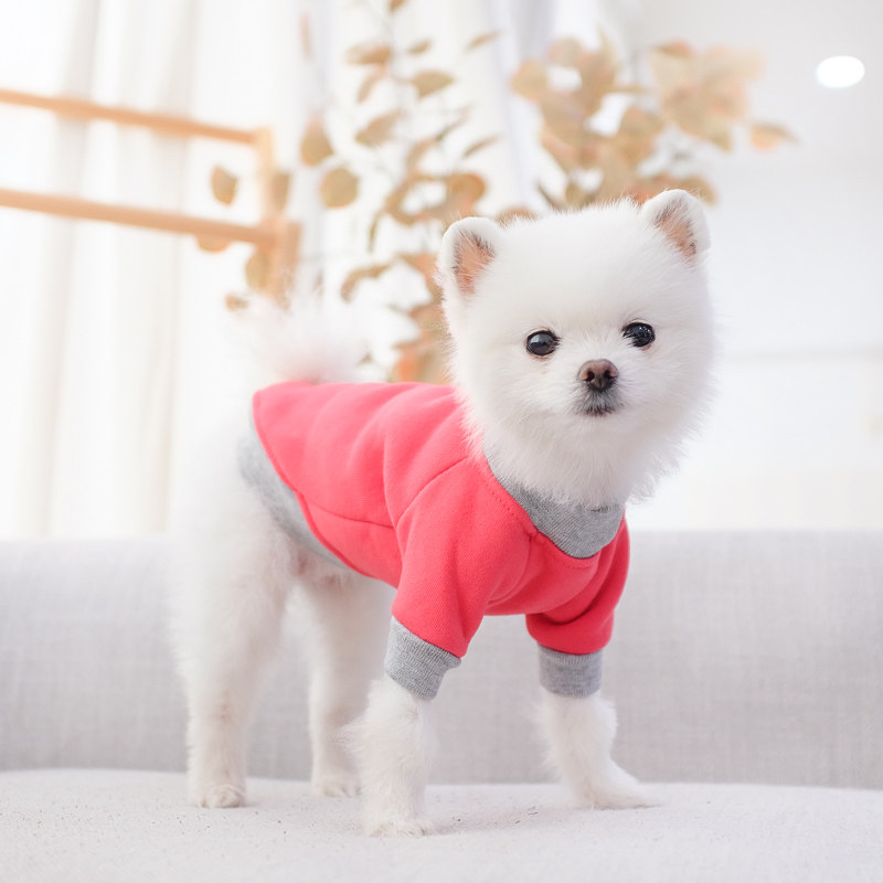 博美衣服春秋薄款泰迪比熊雪纳瑞小型犬冬季防掉毛宠物小狗狗卫衣