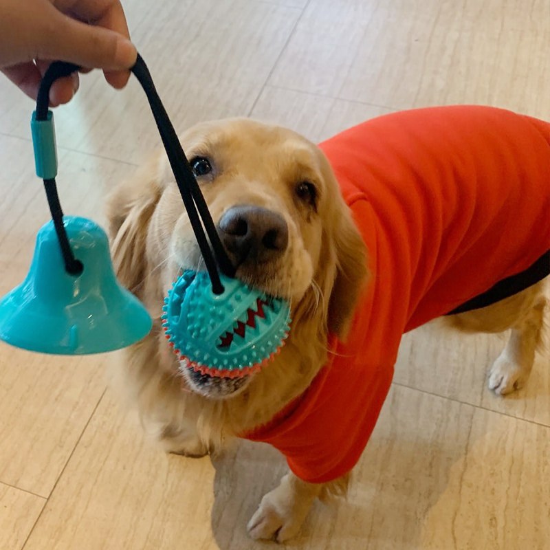 狗狗玩具球大狗金毛耐咬幼犬小狗泰迪法斗柯基磨牙洁齿骨宠物用品|ruв категории животное/Животное питание и принадлежностей, кошка/собака игрушка, резиновый мяч/сферическая игрушки - от Buy2taobao.com для оказания профессиональной услуги покупки агента Taobao