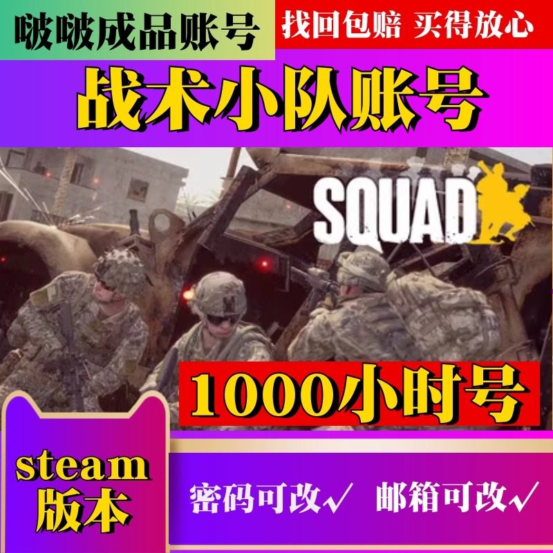 Steam正版游戏 战术小队成品号 1000小时Squad账号 白号可改