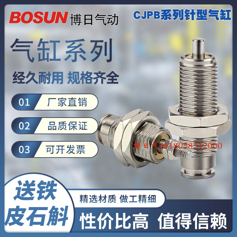 博日气动浙江温州针型气缸
