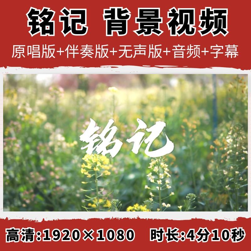 铭记背景视频张杰歌曲配乐伴奏字幕央视MV舞蹈舞台素材LED大屏幕