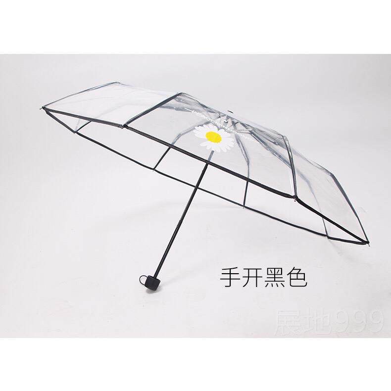 高档小雏菊全自动网红伞透明雨 折叠日本清新森系in小女s美少神学
