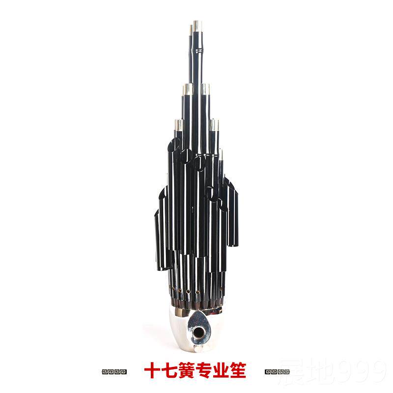 高档新17簧14簧扩音笙乐器大全圆乐笙方艺笙修笙工竽器具笙包初学