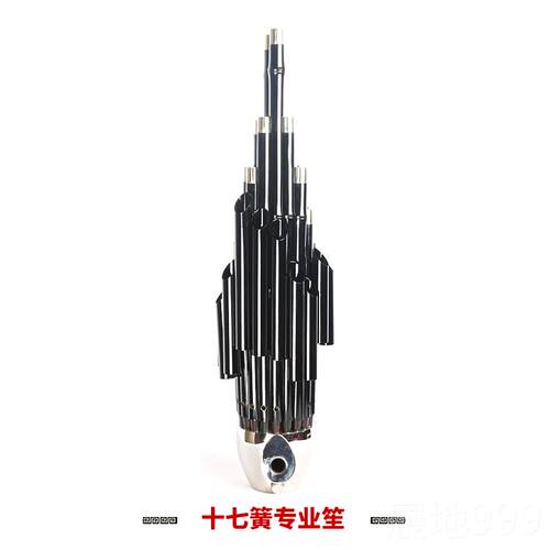 高档新17簧14簧扩音笙乐器大全圆乐笙方艺笙修笙工竽器具笙包初学