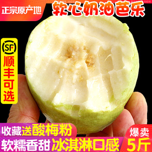 2026福建软心牛奶芭乐5斤水果当季软糯软白奶油番石榴新鲜巴乐果