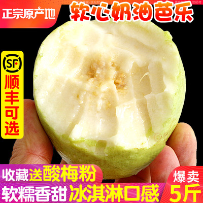 【顺丰可选】抢！软心软糯芭乐！