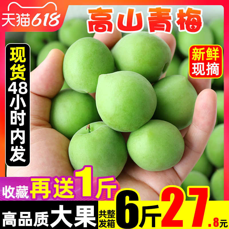 Yunnan Green Plum Fresh fruit 6 pounds Full container fresh Zhaoan fruit Large fruit Fujian Season Paojiu Plumin the Aquatic meat/Fresh fruits and vegetables/Cooked , Fresh fruit , Other  category - from Buy2taobao.com to provide professional Taobao agent buy service