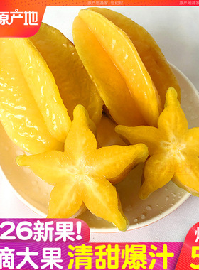 2026福建漳州杨桃5斤水果当季应洋桃鲜果新鲜红龙扬桃五角星阳桃