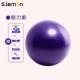 正品 瑜伽球健身球肥孕妇专用产儿童加感助统训练瑜珈减球厚平衡球