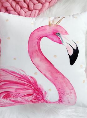 正品is抱枕粉色女公主风可爱少心靠垫北欧火鸟n网红沙发抱烈枕套