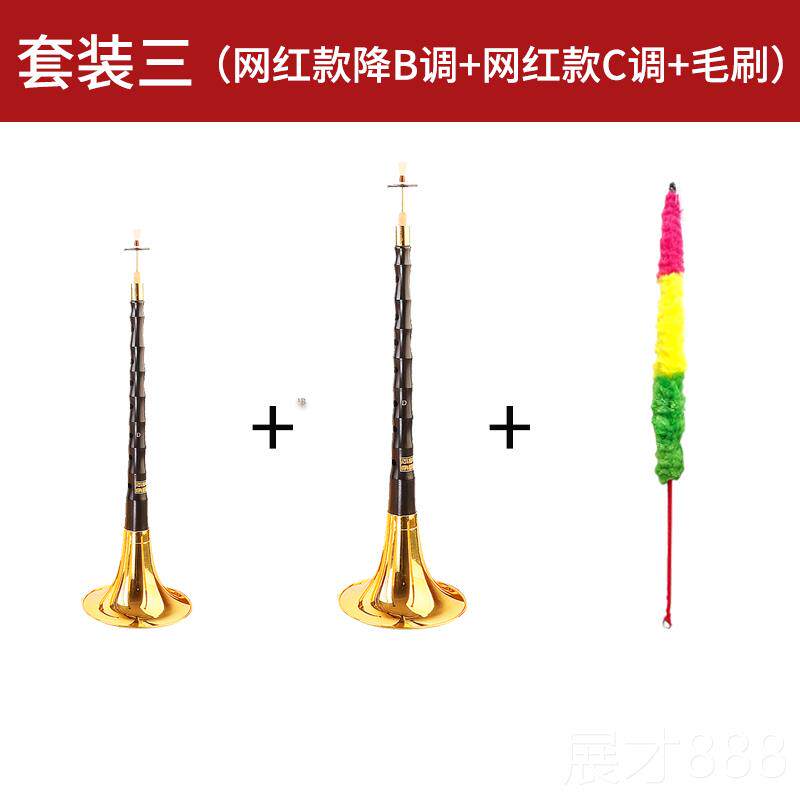 正品王网彪红乌木家唢呐B乐器初学者全套民族喇叭d调降调考入门专