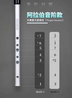 正品SONSORA QUET哨格笛气阿拉伯音阶调式风D自然大调省抗压高亢