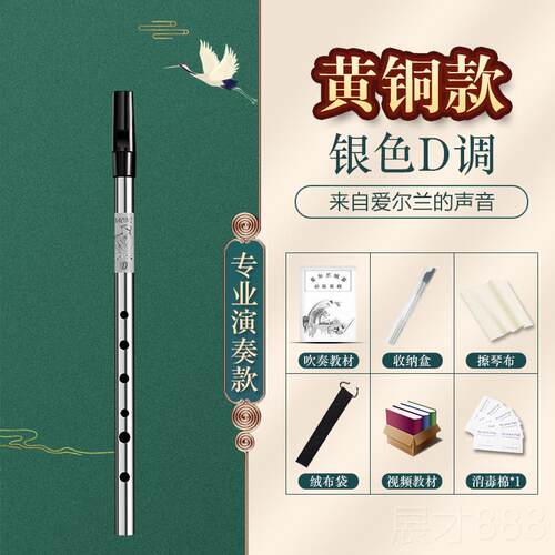 正品爱尔兰哨笛C调D调笛子初竖学童专业演高音儿直笛笛乐器小学生