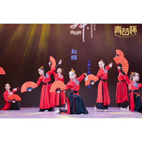正品儿童雪龙表吟舞蹈古出服扇子舞侠客风装少年志群舞飘逸元演旦