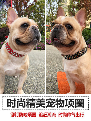 狗狗项颈脖圈大中小型犬溜狗圈法斗英斗可调节用品斗牛犬脖牵引绳