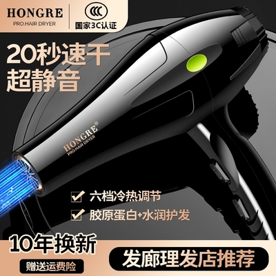 德系电吹风机发廊理发店家用大功