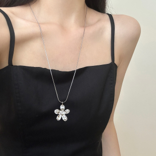 2025新款 项链女小众设计精致锁骨链高级感配饰 韩系银色花朵长款