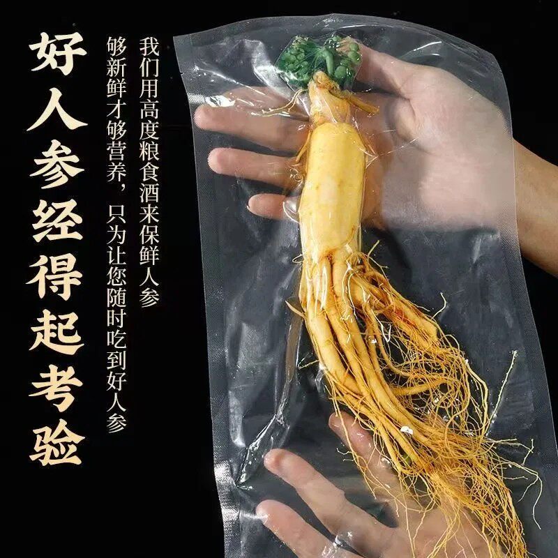 长白山泡酒专用人参新鲜保鲜参产地直发超大500g超值一斤整支特大
