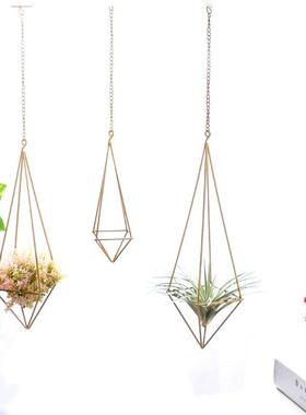 创意家居空气凤梨挂饰，悬挂阳台露天客厅无土绿植架 老人须小