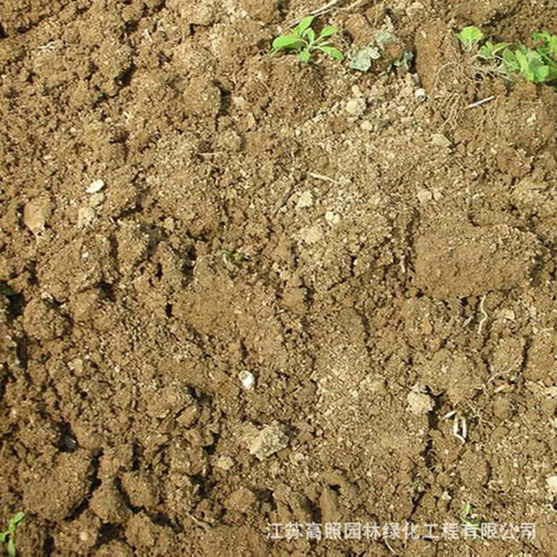 育苗泥土种菜绿化栽培营养土田园土蔬菜种植植物多肉花卉