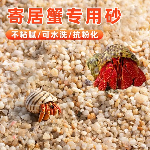 天然寄居蟹专用沙鱼缸造景铺底