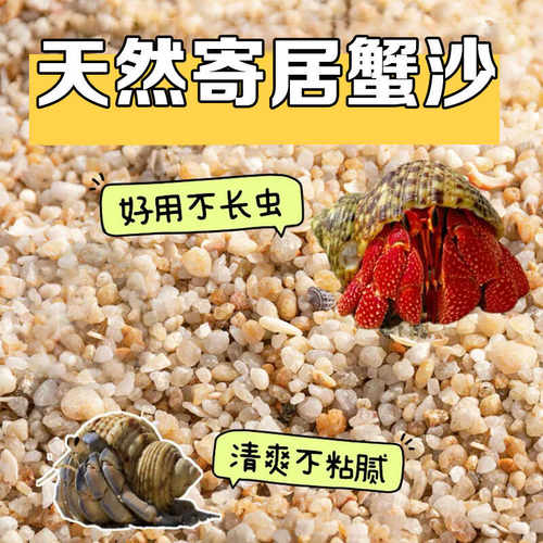 寄居蟹专用沙鱼缸造景免洗沙子