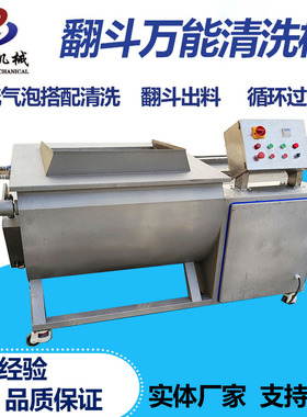 全自动翻斗式洗菜机净菜加工海带片清洗机商用新款涡流气泡清洗机