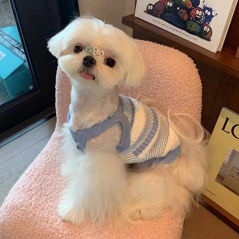 猫咪狗狗秋冬款小香风背心