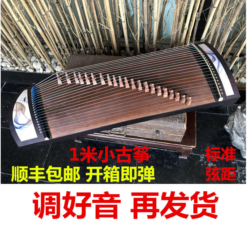 新品1米小古筝便携式半筝迷你初学考级演出21弦