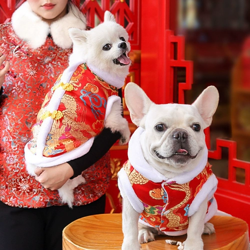 Собачья одежда осень и зимняя домашняя кошка плюшевая и средняя боевая тагало.