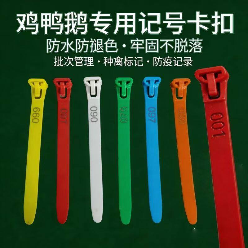 鸡鸭鹅识别环脚环多色可选