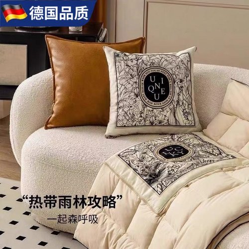 德国进口办公室车载四季抱枕被子
