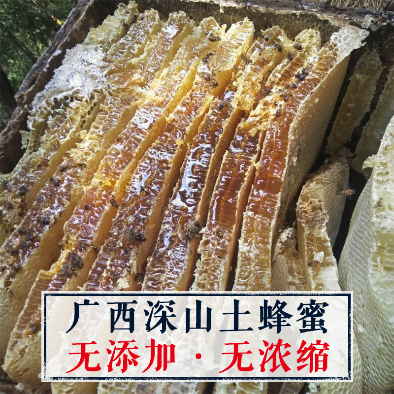 广西深山 土蜂蜜 野生蜂蜜 纯正土蜂百花蜜 天然农家自产 纯蜂蜜