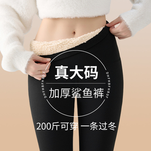 大码鲨鱼裤女胖mm外穿超厚云朵绒打底保暖裤秋冬加绒200斤芭比裤