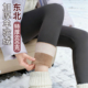 女外穿冬季 东北打底裤 羊驼绒棉裤 800克鲨鱼裤 加长特厚零下保暖裤