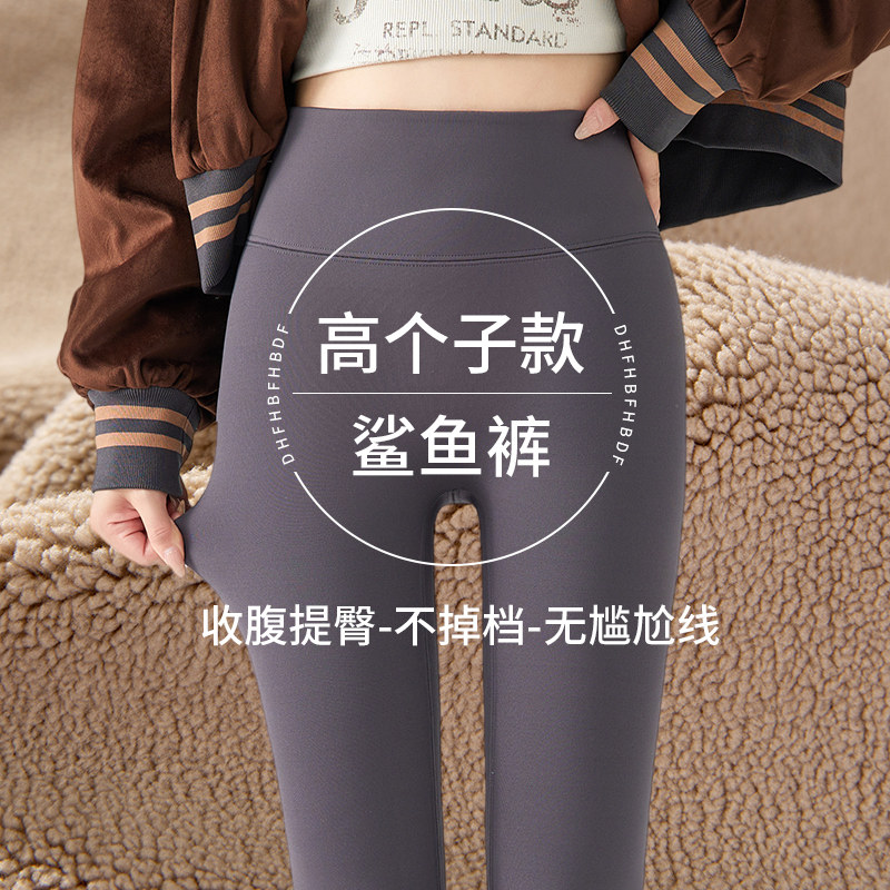 俏盾加绒鲨鱼路裤高个子