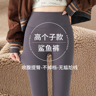 加绒鲨鱼路裤高个子加长女外穿秋冬季东北羊驼绒打底裤特厚保暖裤