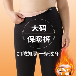 女外穿秋冬加绒胖mm200斤不掉档东北加厚保暖棉裤 大码 黑色打底裤