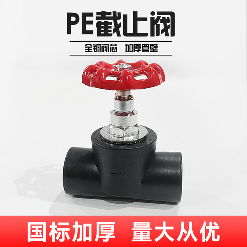PE升降截止阀阀门4分20/25/32/50/63/75/90/110自来水管开关闸阀