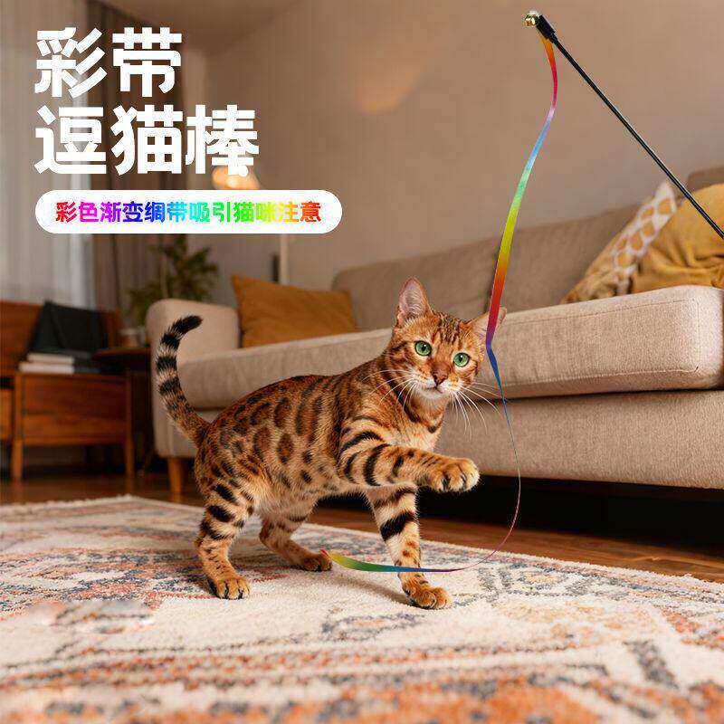 猫咪玩具彩带逗猫棒双面