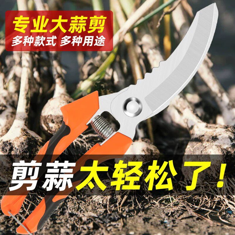 弯头大蒜剪圆葱专用剪刀
