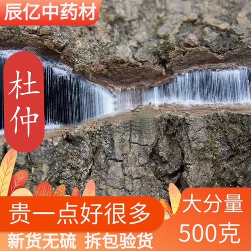 杜仲皮 野生 500g 特级泡酒老树杜仲茶杜仲粉中药材店铺 非同仁堂
