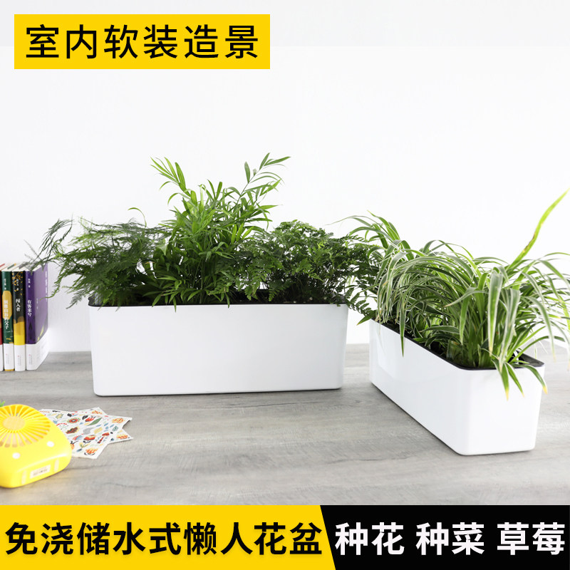 塑料长方形花盆种菜盆草莓盆长条型阳台专用懒人自动吸水花盆加厚,鲜花速递/花卉仿真/绿植园艺,花盆,淘宝优惠券,粉丝福利购,淘宝优惠卷