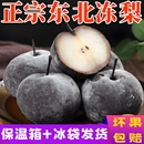 正宗东北特产冻梨苹果梨秋梨大果黑梨华盖皇冠梨水果新鲜当季 包邮