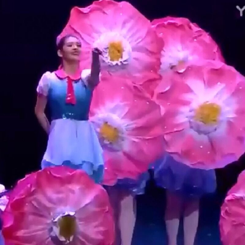 海棠树下我们舞蹈表演服装中