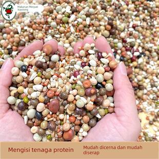 枭龙鸽粮冠军系列高蛋白幼鸽40斤赛鸽信鸽营养鸽子食江浙沪皖包新