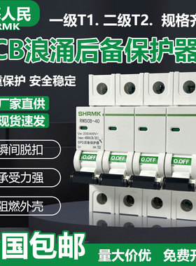 上海人民SCB浪涌后备保护器SPD一级T1电涌4P2P开关二级T2防雷后备