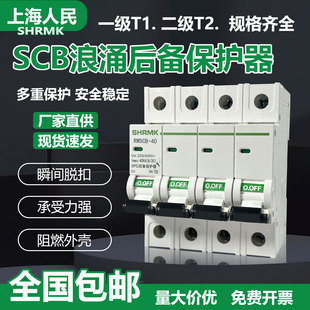 上海人民SCB浪涌后备保护器SPD一级T1电涌4P2P开关二级T2防雷后备